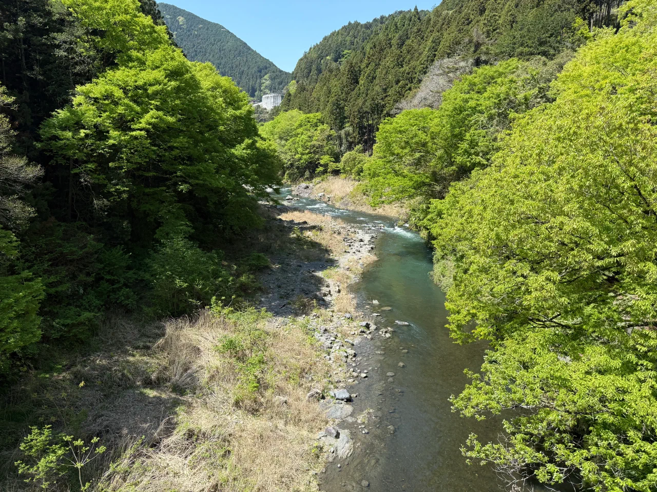 2026-04-19T01-48-27-000.webp