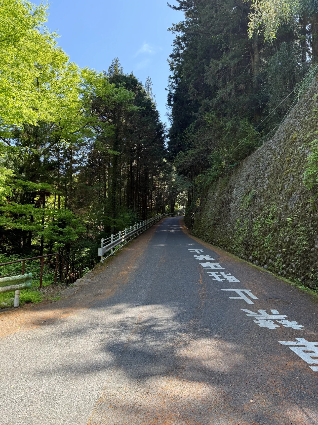 2026-04-19T01-49-29-000.webp