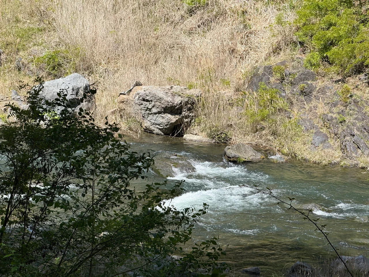 2026-04-19T01-53-05-000.webp
