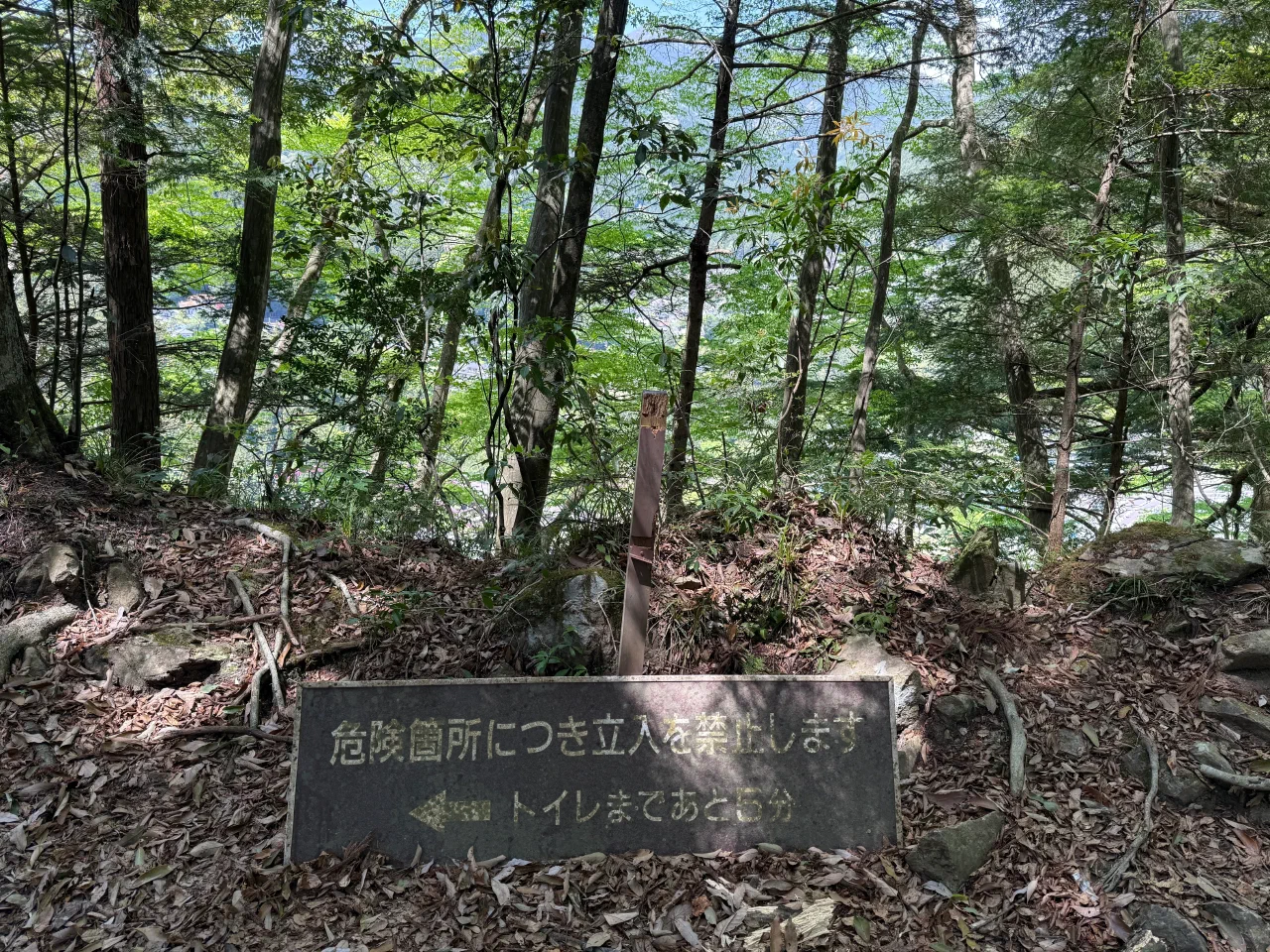 2026-04-19T02-20-03-000.webp