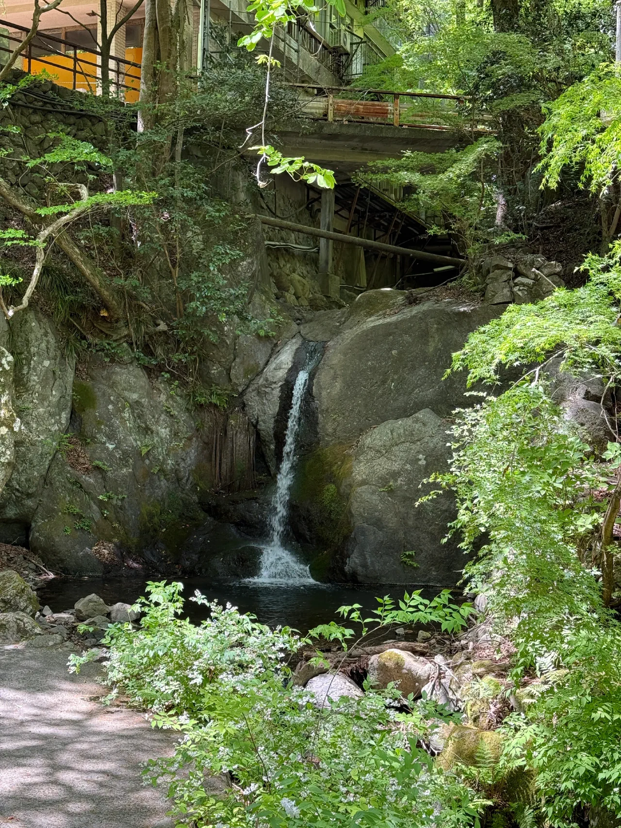 2026-04-19T02-54-07-000.webp