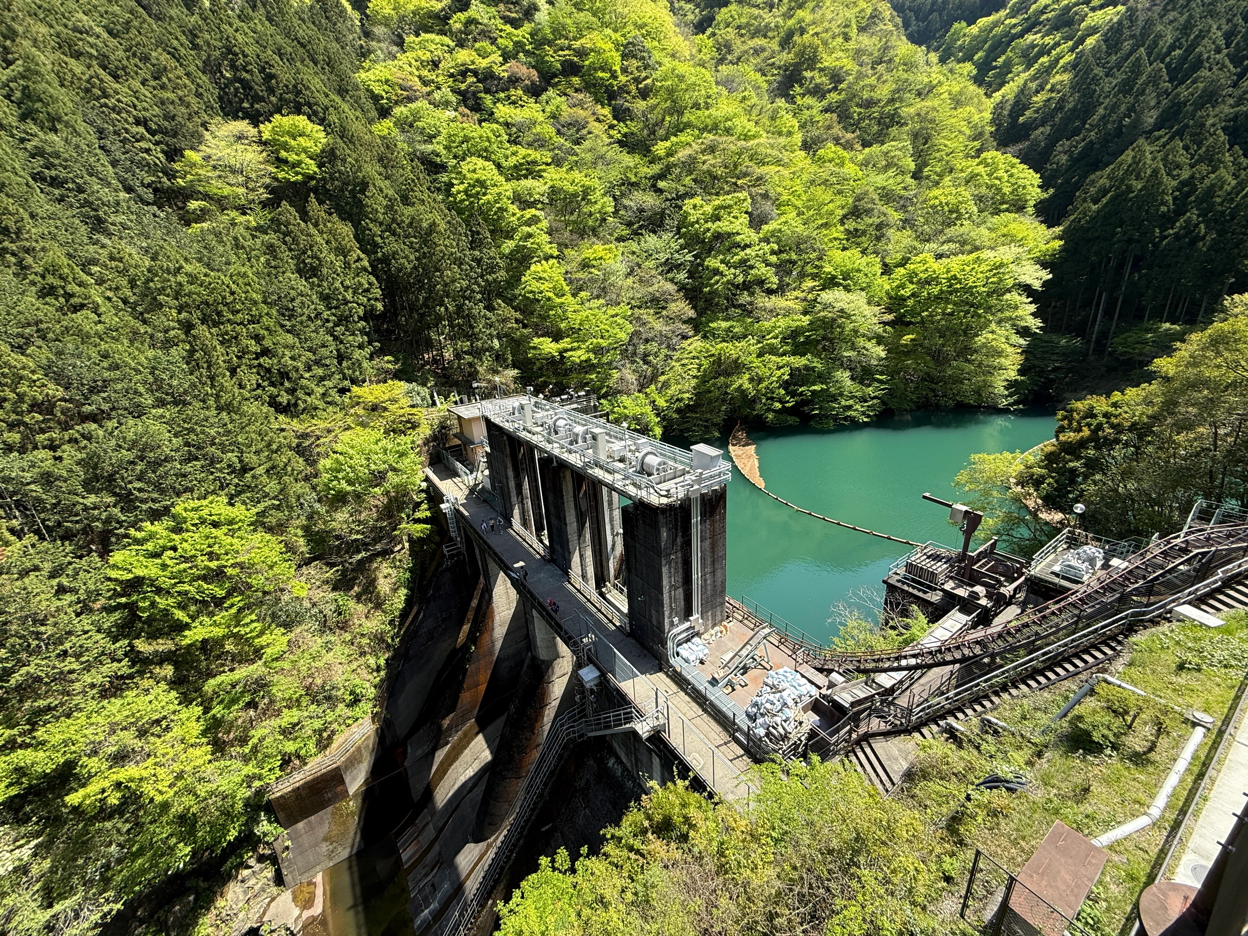Between Packed Trains and Quiet Mountain Trails: My Daily Life at Language School in Japan